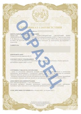 Образец Сертификат СТО 01.064.00220722.2-2020 Новосибирск Сертификат СТО 01.064.00220722.2-2020 